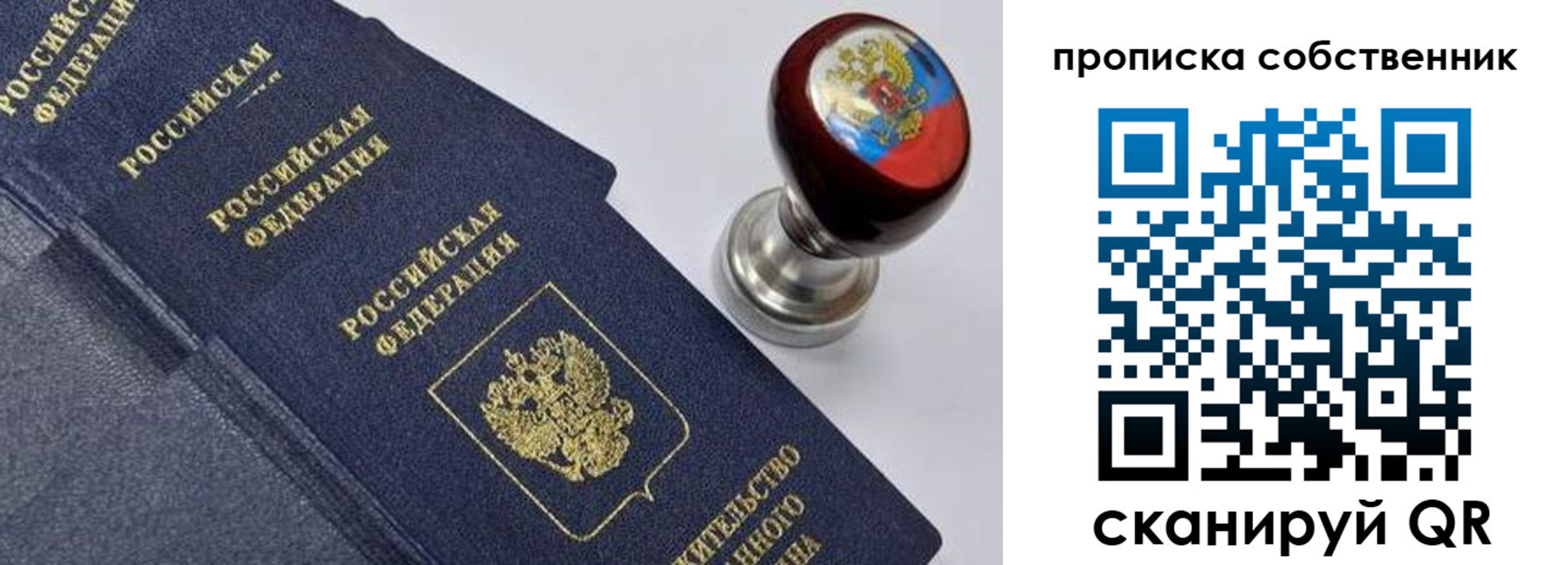 прописка в Вязьме